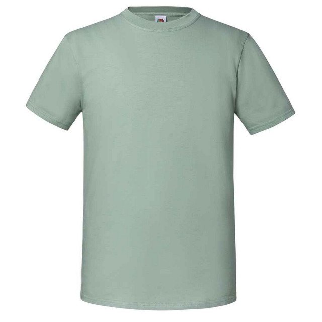 Fruit of the Loom Heren iconic 195 premium ringspun katoen t-shirt UTFK2657_sage large