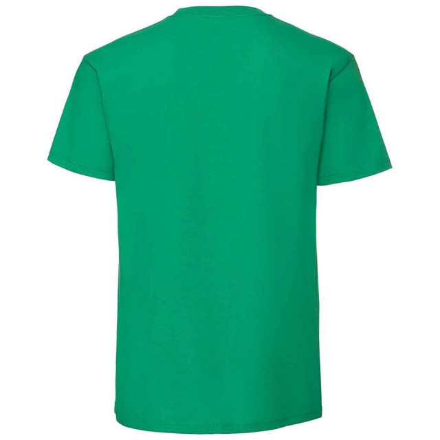 Fruit of the Loom Heren iconic 195 premium ringspun katoen t-shirt UTFK2657_kellygreen large