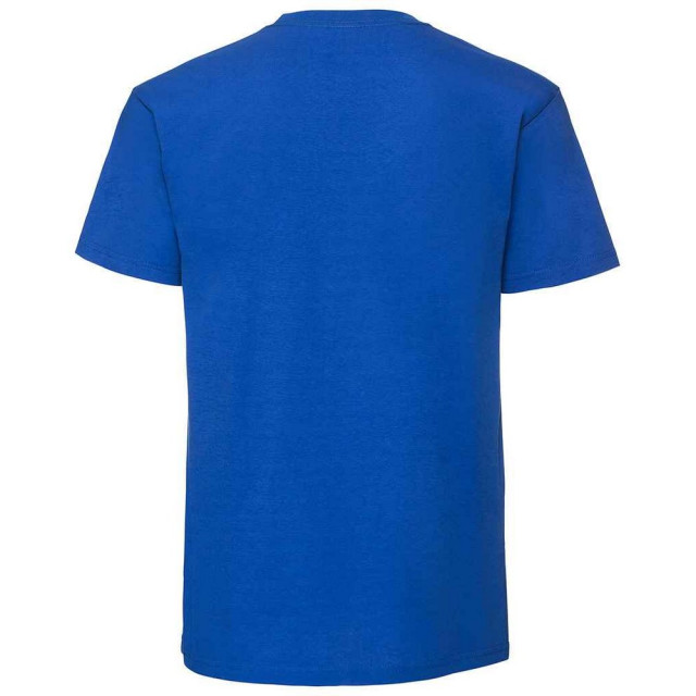 Fruit of the Loom Heren iconic 195 premium ringspun katoen t-shirt UTFK2657_royalblue large