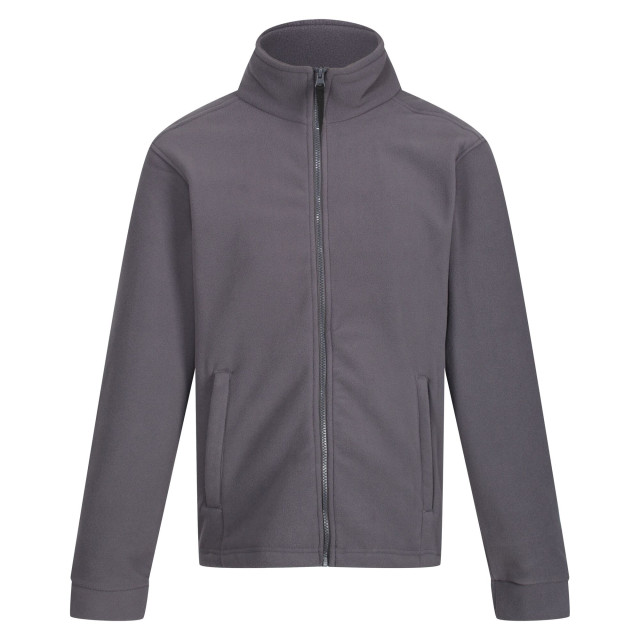 Regatta Heren thor 300 fleecejack UTFK2637_sealgrey large