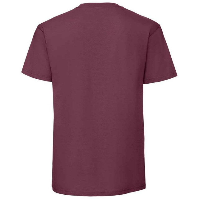 Fruit of the Loom Heren iconic 195 premium ringspun katoen t-shirt UTFK2657_burgundy large