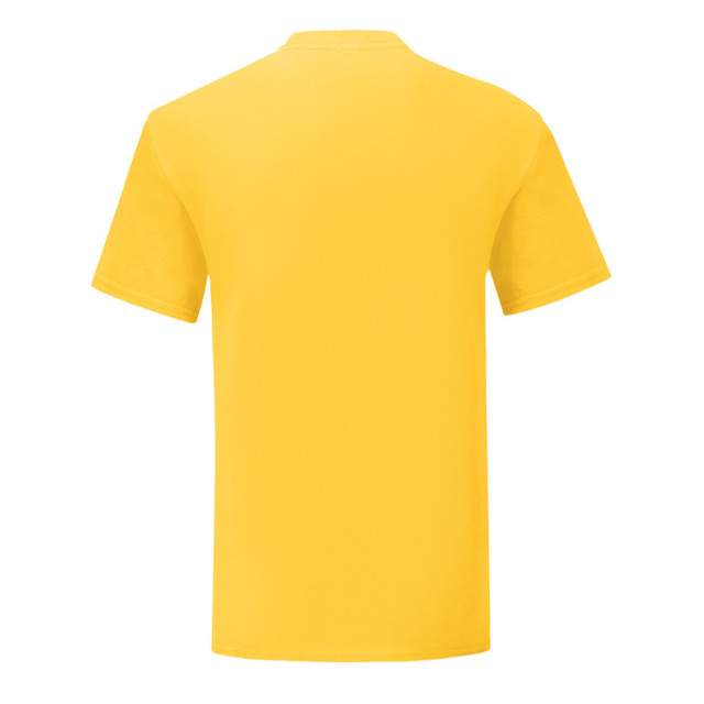 Fruit of the Loom Heren iconisch 150 t-shirt UTFK2628_sunflower large