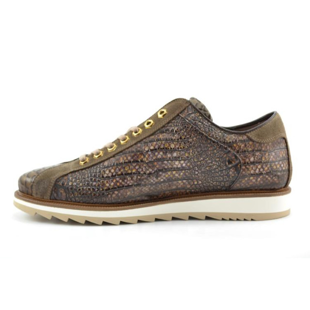 Giorgio 6491827 Sneakers Taupe 6491827 large
