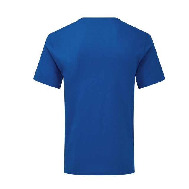 Fruit of the Loom Unisex adult iconisch v hals t-shirt UTLT1663_royalblue large