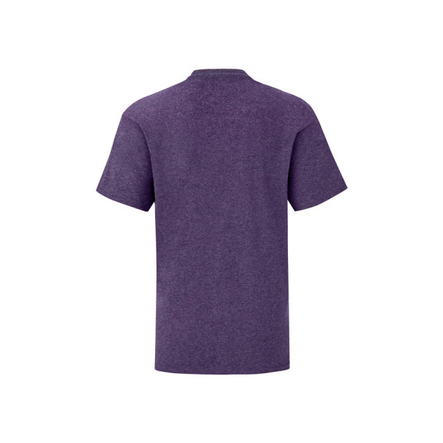 Fruit of the Loom Kinderen/kinderen iconic 150 polycotton t-shirt UTFK3112_heatherpurple large Fruit of the Loom Kinderen/kinderen iconic 150 polycotton t-shirt UTFK3112_heatherpurple large
