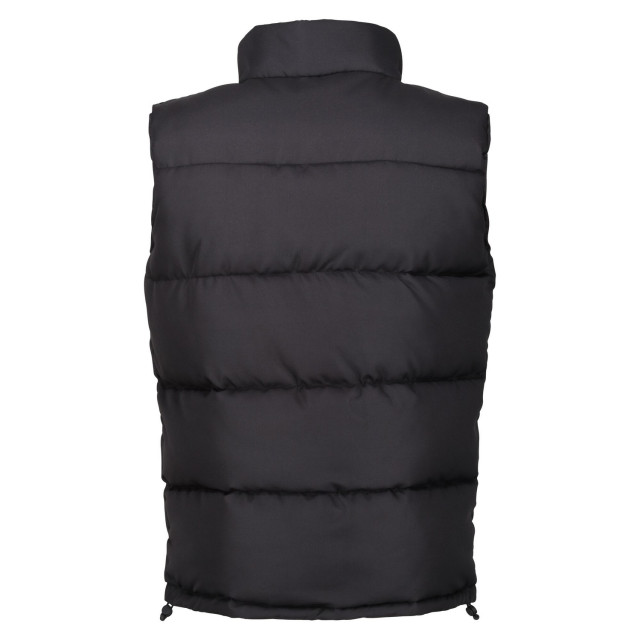 Regatta Heren northdale geïsoleerde bodywarmer UTFK3121_black large