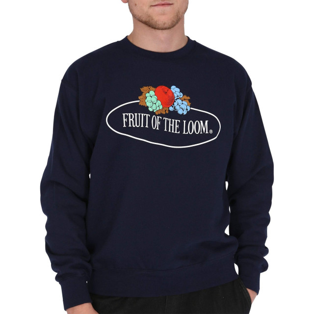 Fruit of the Loom Heren vintage sweatshirt met logoprint UTFK3117_deepnavy large
