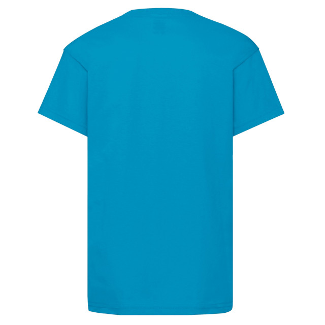 Fruit of the Loom Origineel t-shirt voor kinderen UTFK3081_azureblue large