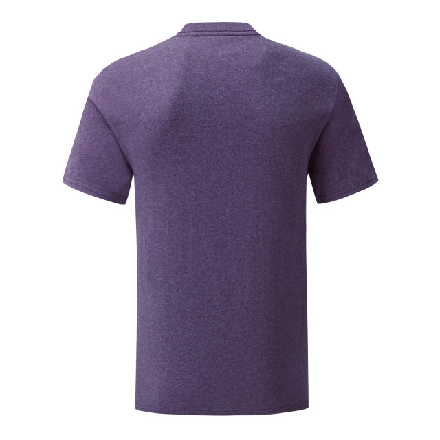 Fruit of the Loom Unisex adult iconic heather t-shirt UTLT1796_heatherpurple large