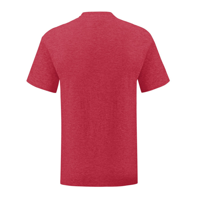 Fruit of the Loom Unisex adult iconic heather t-shirt UTLT1796_heatherred large