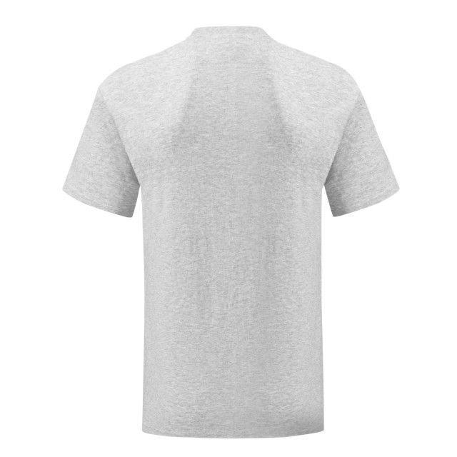 Fruit of the Loom Unisex adult iconic heather t-shirt UTLT1540_heathergrey large