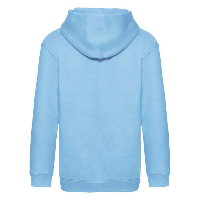 Fruit of the Loom Kinder/kids premium hoodie UTFK2833_skyblue large