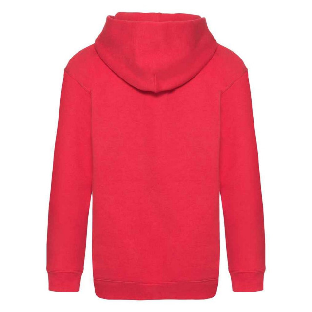 Fruit of the Loom Kinder/kids premium hoodie UTFK2833_red large
