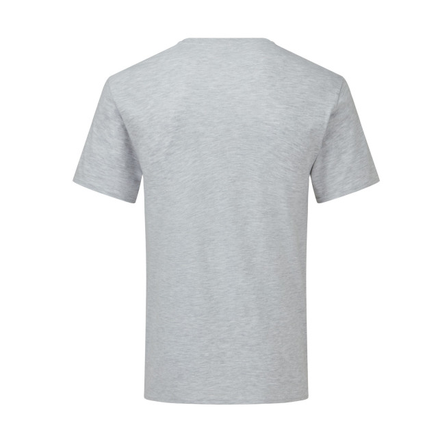 Fruit of the Loom Unisex adult iconic 150 heather v hals t-shirt UTLT1678_grey large