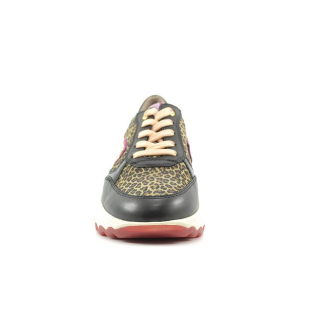 DL Sport 6344 6344 large DL Sport 6344 6344 large