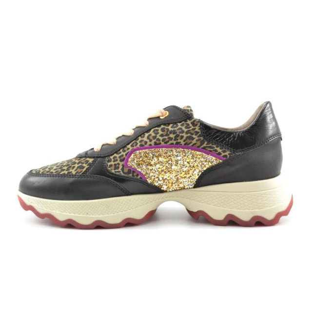 DL Sport 6344 6344 large DL Sport 6344 6344 large