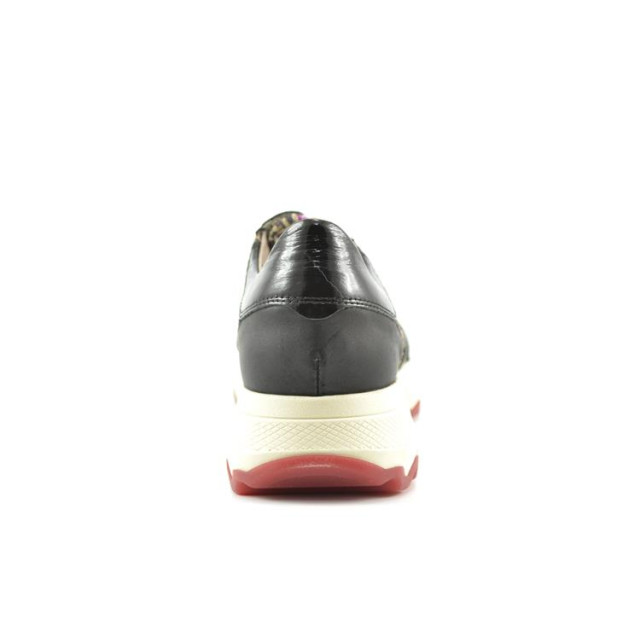 DL Sport 6344 6344 large DL Sport 6344 6344 large