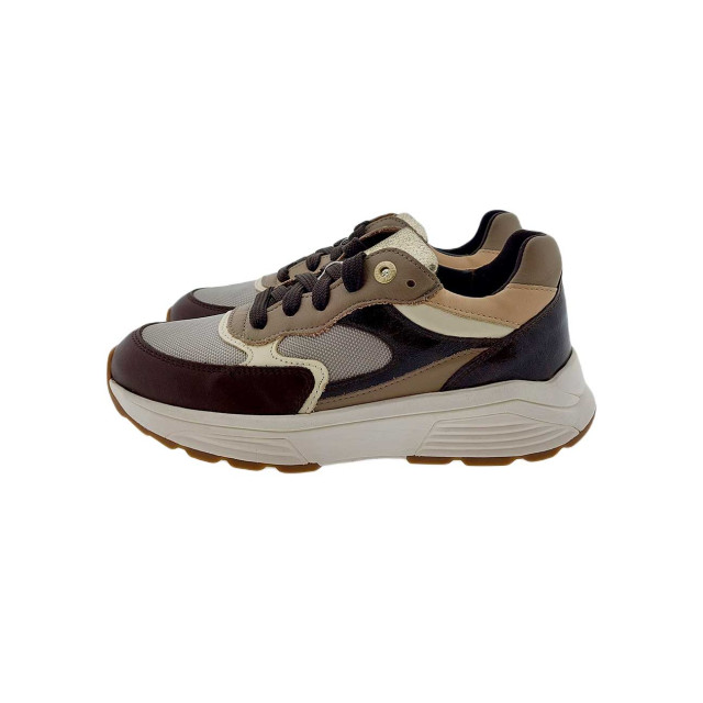 Xsensible 33002.5 Sneakers Bruin 33002.5 large