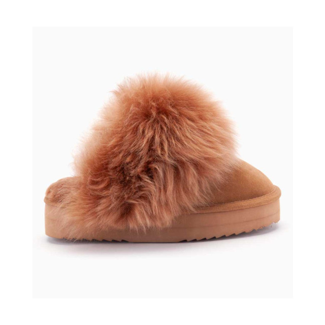 Warmbat Wag1169 pantoffels WAG371169 large