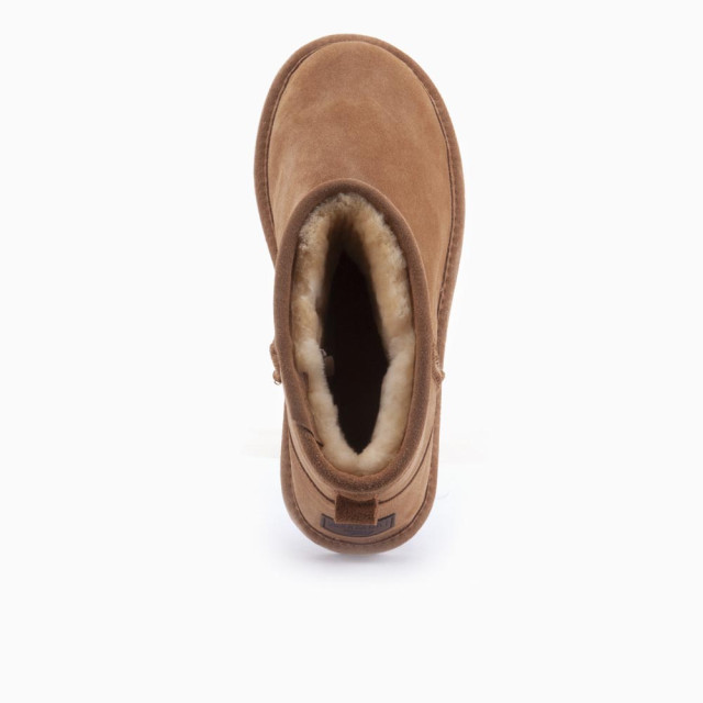 Warmbat Wallaby WLY3210-25 large