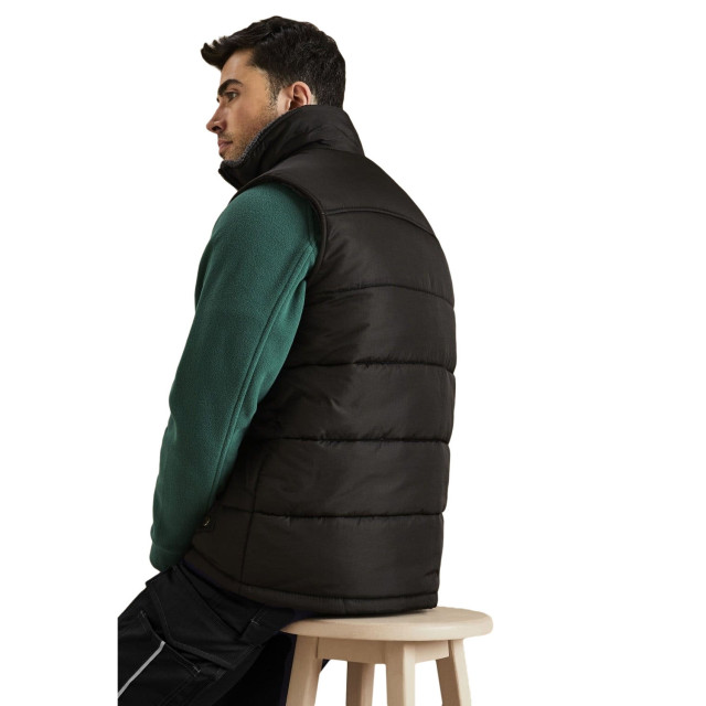 Regatta Heren standout altoona geïsoleerd bodywarmer jasje UTBC3038_black large