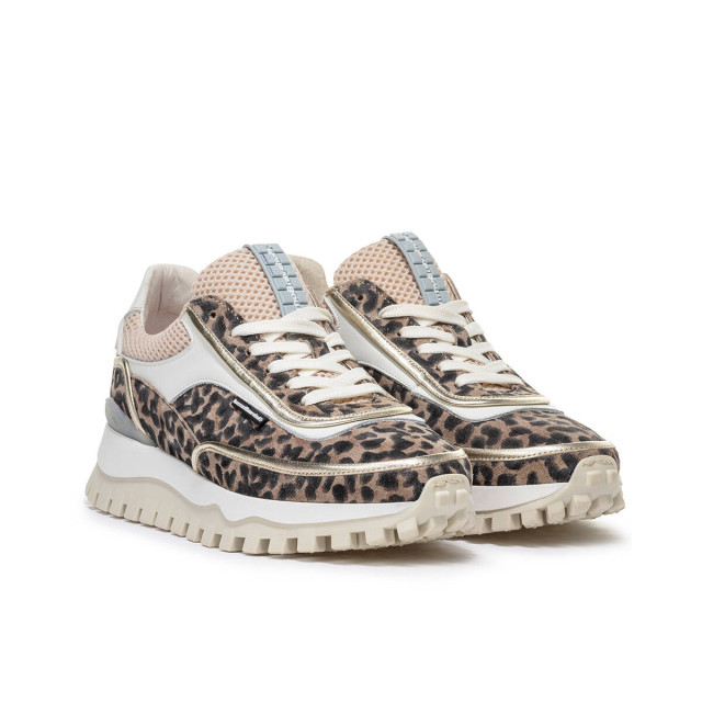 Floris van Bommel Floris van Bommel Sneakers SFW-10131 GROMMI Sneakers Bruin Floris van Bommel Sneakers SFW-10131 GROMMI large