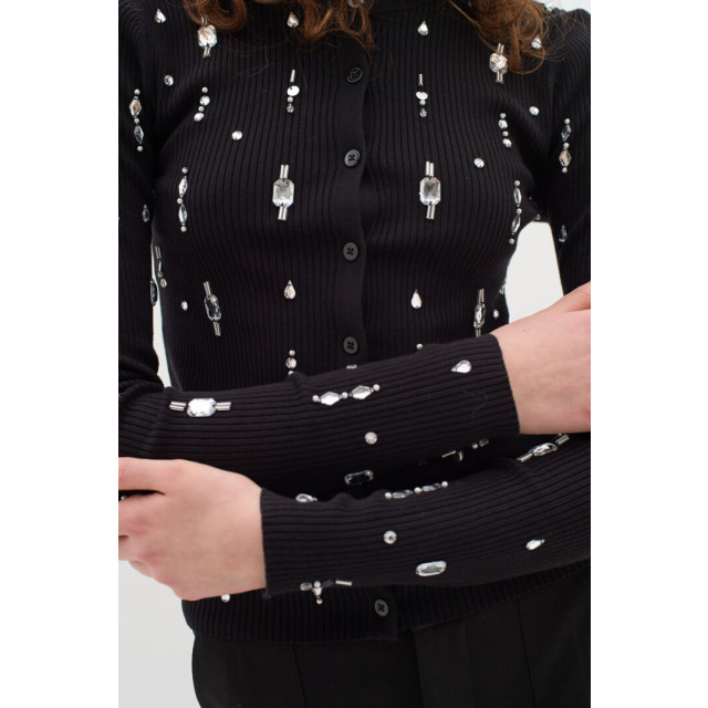 InWear Iw yaelle cardigan IW Yaelle Cardigan/194008 Black large