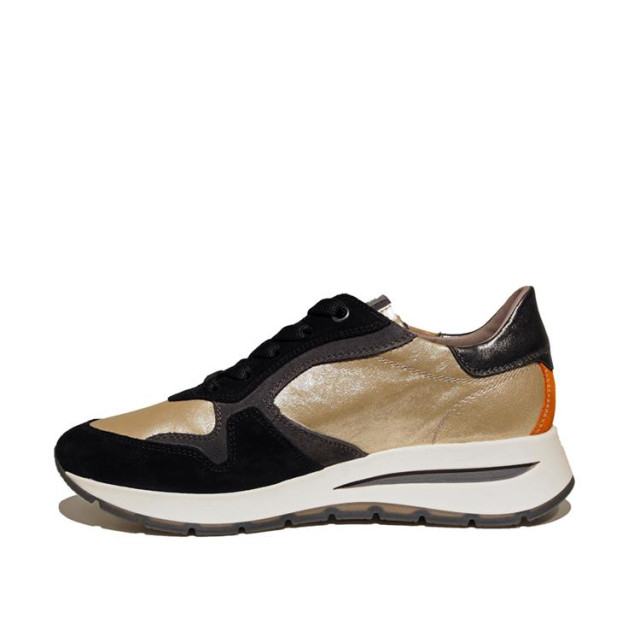 DL Sport 6338 6338 large