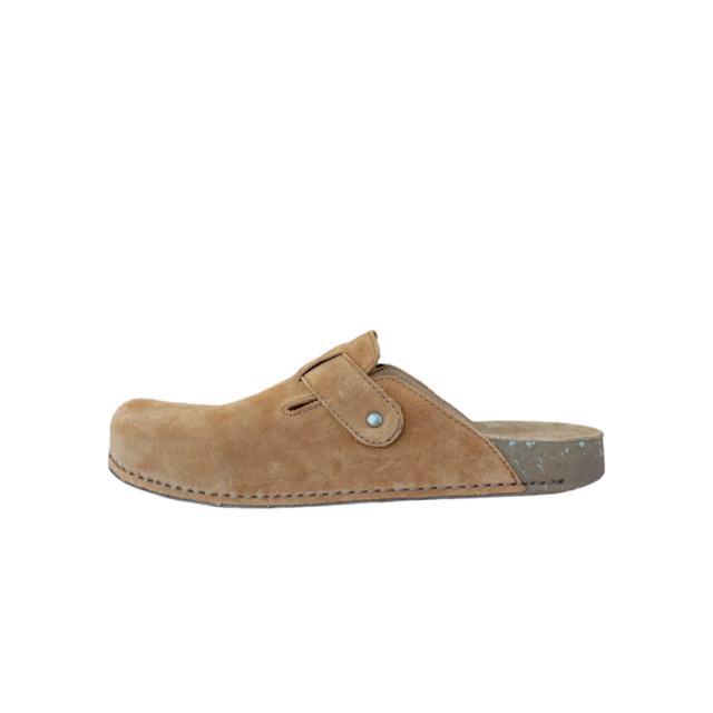 El Naturalista N5796 N5796 large