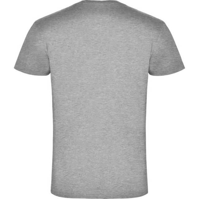 Roly Heren samoyedo v hals t-shirt UTPF4231_greymarl large