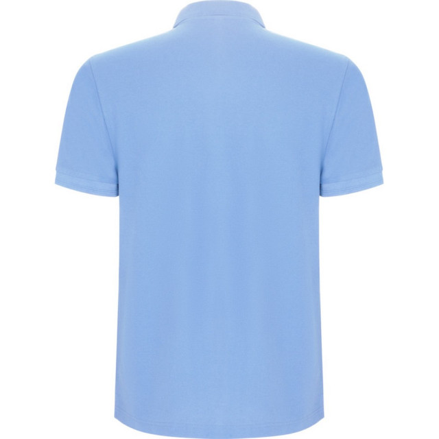 Roly Pegaso premium poloshirt met korte mouwen voor kinderen/kinderen UTPF4544_skyblue large