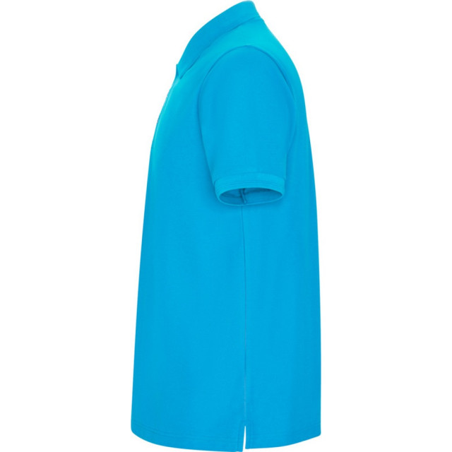 Roly Pegaso premium poloshirt met korte mouwen voor kinderen/kinderen UTPF4544_turquoise large