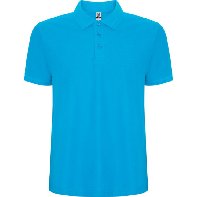 Roly Pegaso premium poloshirt met korte mouwen voor kinderen/kinderen UTPF4544_turquoise large