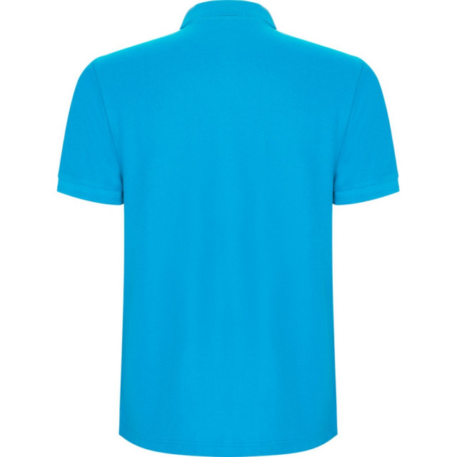 Roly Pegaso premium poloshirt met korte mouwen voor kinderen/kinderen UTPF4544_turquoise large