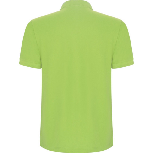 Roly Pegaso premium poloshirt met korte mouwen voor kinderen/kinderen UTPF4544_mantisgreen large