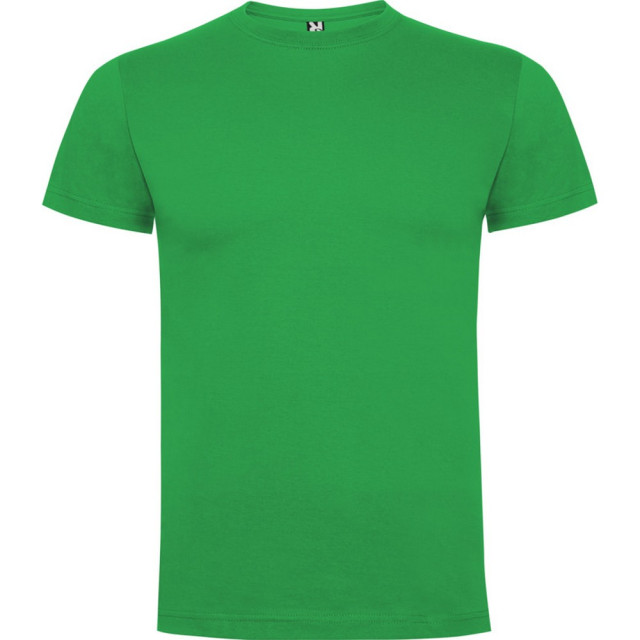 Roly Kinderen/kinderen dogo t-shirt UTPF4506_irishgreen large