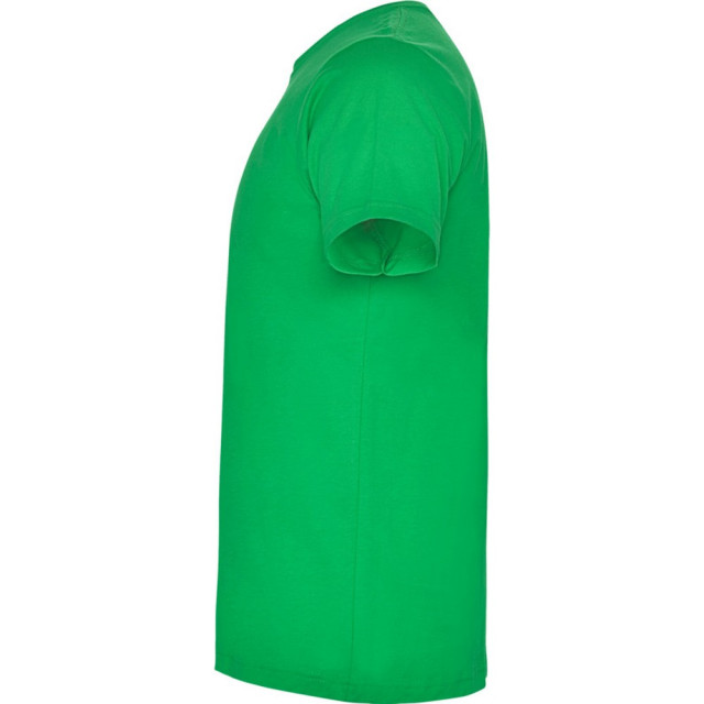 Roly Kinderen/kinderen dogo t-shirt UTPF4506_irishgreen large