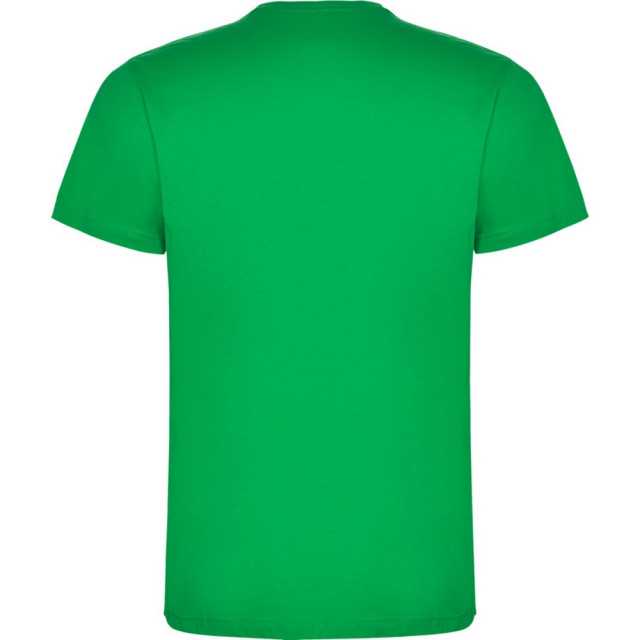 Roly Kinderen/kinderen dogo t-shirt UTPF4506_irishgreen large