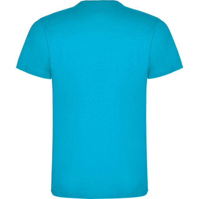 Roly Kinderen/kinderen dogo katoen t-shirt UTLT5236_turquoise large Roly Kinderen/kinderen dogo katoen t-shirt UTLT5236_turquoise large