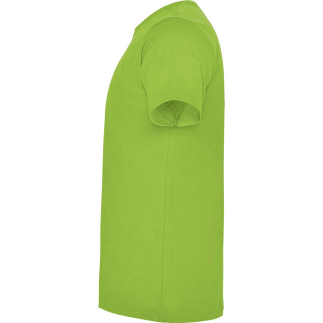 Roly Kinderen/kinderen dogo t-shirt UTPF4506_oasisgreen large