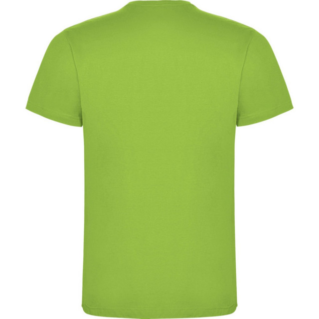 Roly Kinderen/kinderen dogo t-shirt UTPF4506_oasisgreen large