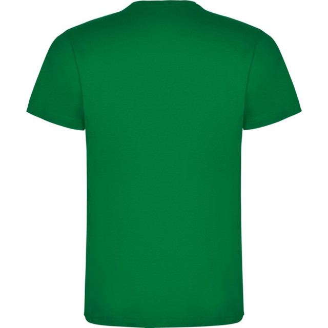 Roly Kinderen/kinderen dogo t-shirt UTPF4506_tropicalgreen large