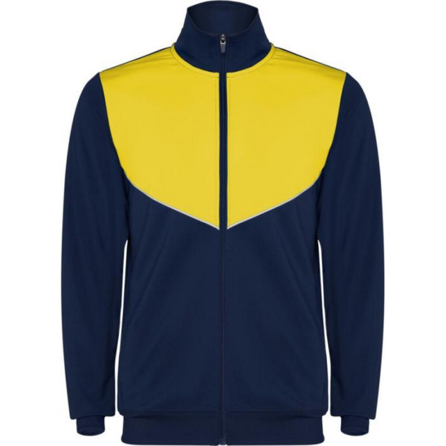 Roly Volwassen uniseks evans trainingspak UTPF4438_yellow large