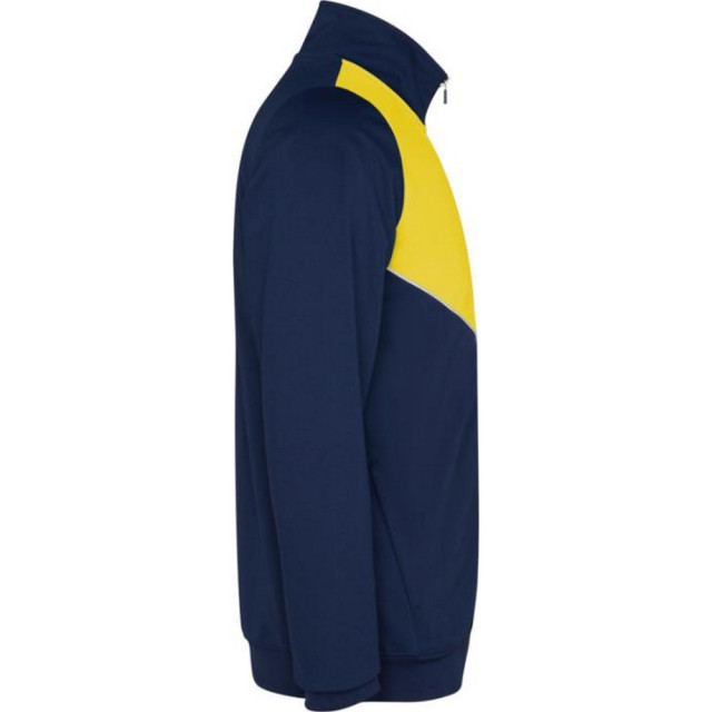 Roly Volwassen uniseks evans trainingspak UTPF4438_yellow large