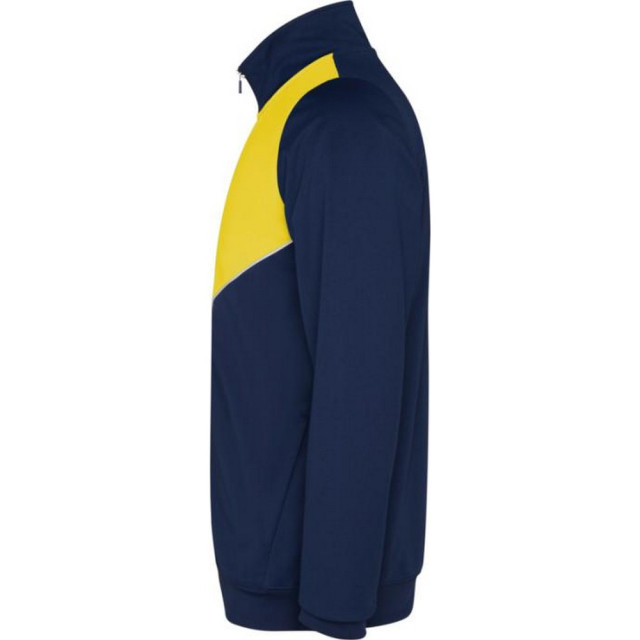 Roly Volwassen uniseks evans trainingspak UTPF4438_yellow large