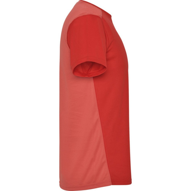 Roly Kinderen/kinderen detroit sport t-shirt UTPF4444_red large