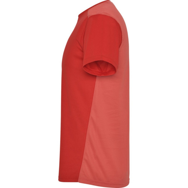 Roly Kinderen/kinderen detroit sport t-shirt UTPF4444_red large