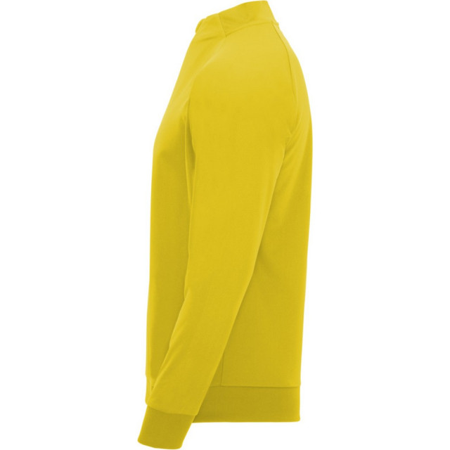 Roly Unisex epiro sweatshirt met lange mouwen voor volwassenen UTPF4425_yellow large