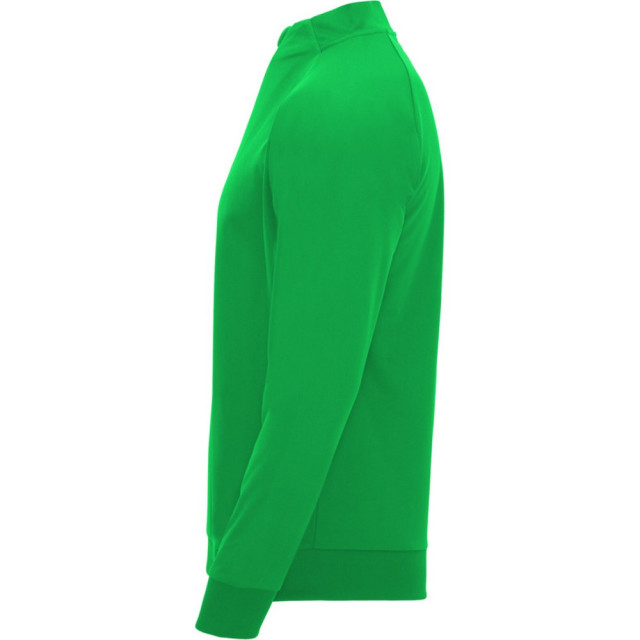 Roly Unisex epiro sweatshirt met lange mouwen voor volwassenen UTPF4425_ferngreen large