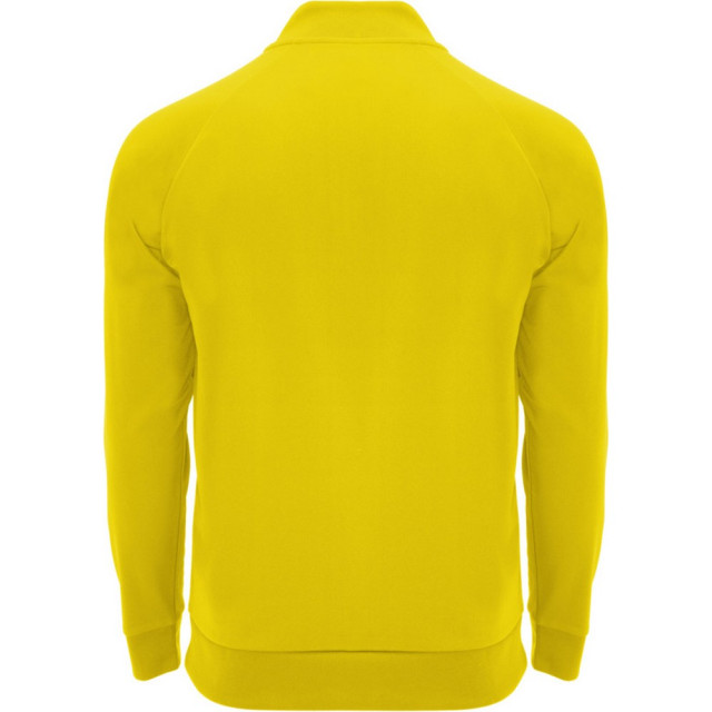 Roly Unisex epiro sweatshirt met lange mouwen voor volwassenen UTPF4425_yellow large
